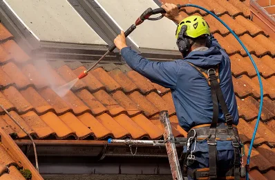 Démoussage et hydrofuge de toiture à Bran